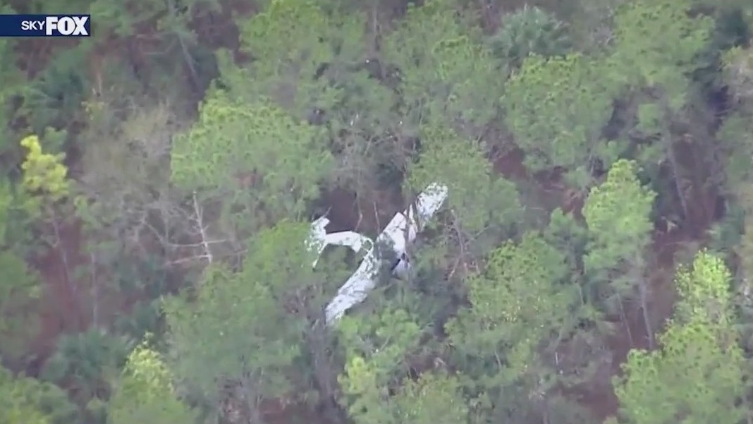 Plane crashes in Florida woods after losing power